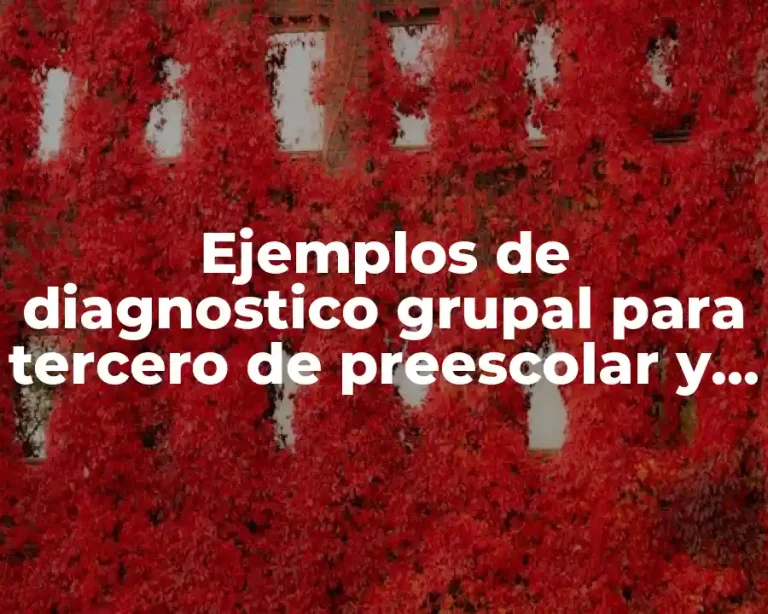 Ejemplos de diagnostico grupal para tercero de preescolar y Significado