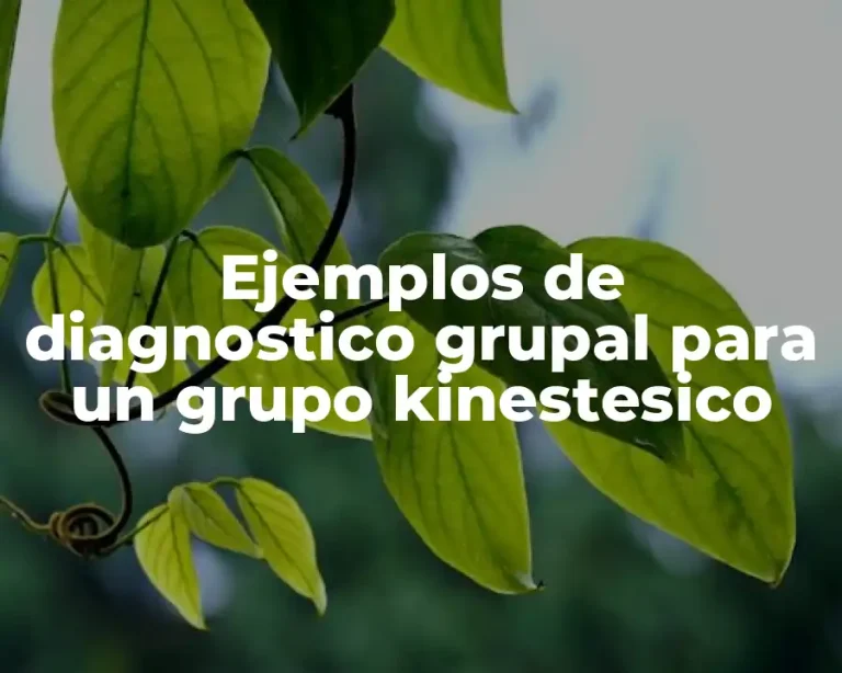Ejemplos de diagnostico grupal para un grupo kinestesico
