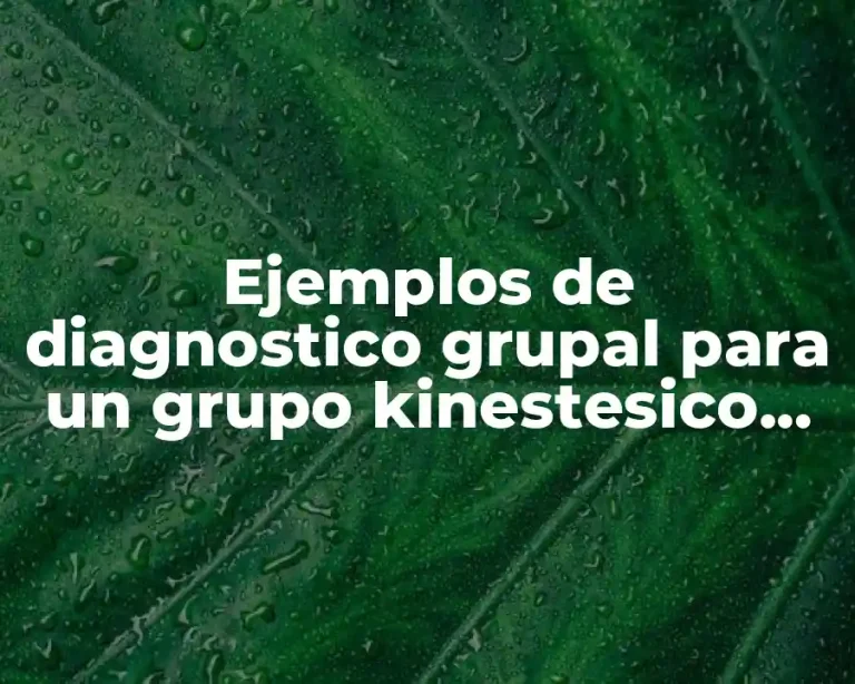 Ejemplos de diagnostico grupal para un grupo kinestesico primaria