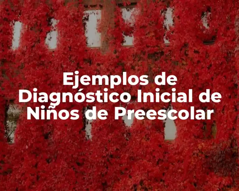 Ejemplos de Diagnóstico Inicial de Niños de Preescolar