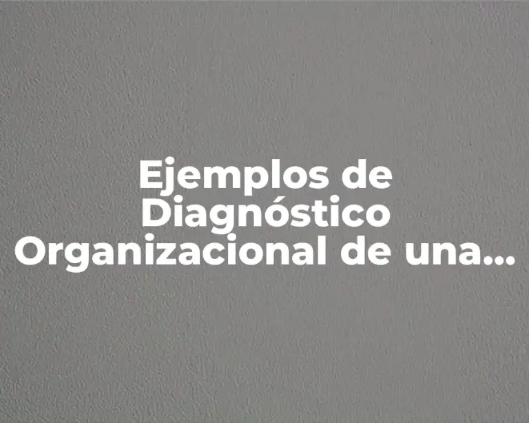 Ejemplos de Diagnóstico Organizacional de una Empresa