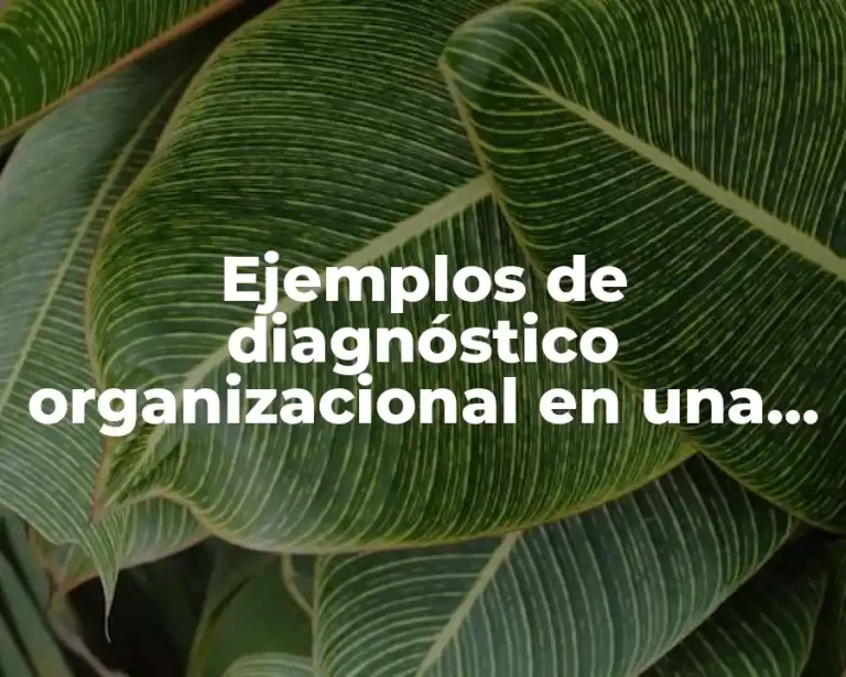 Ejemplos de diagnóstico organizacional en una tienda departamental