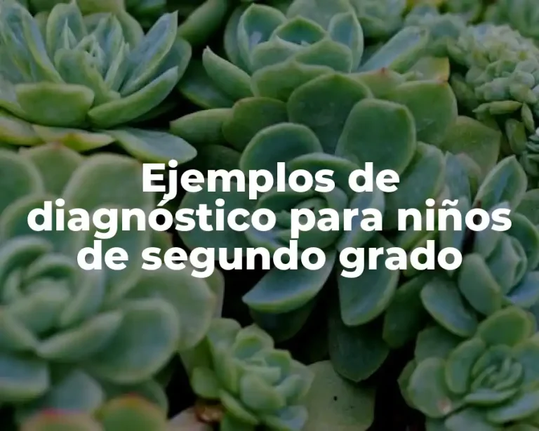 Ejemplos de diagnóstico para niños de segundo grado