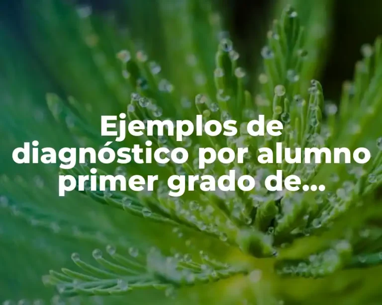 Ejemplos de diagnóstico por alumno primer grado de primaria