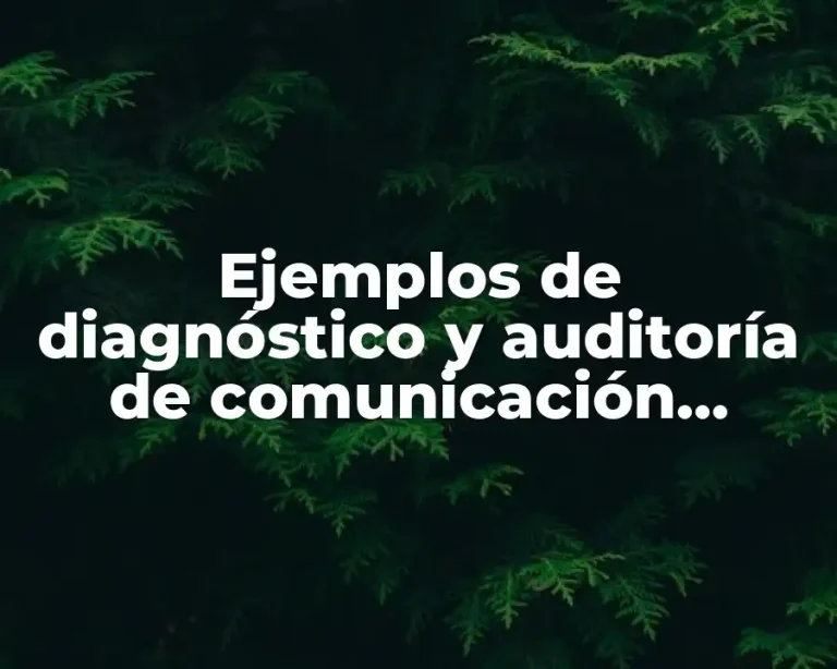 Ejemplos de diagnóstico y auditoría de comunicación organizacional