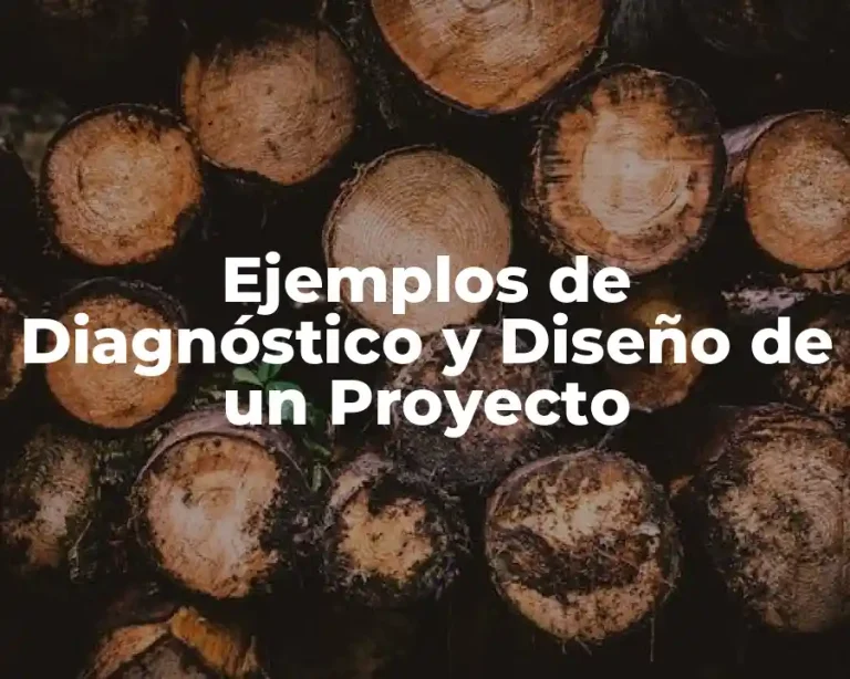 Ejemplos de Diagnóstico y Diseño de un Proyecto
