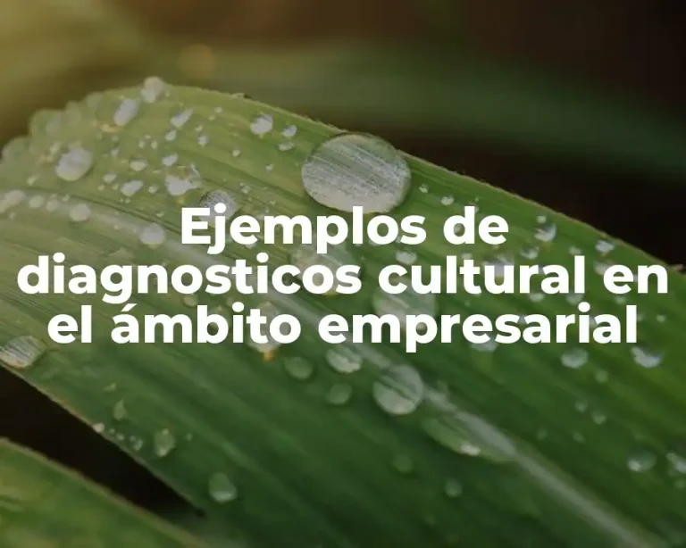 Ejemplos de diagnosticos cultural en el ámbito empresarial