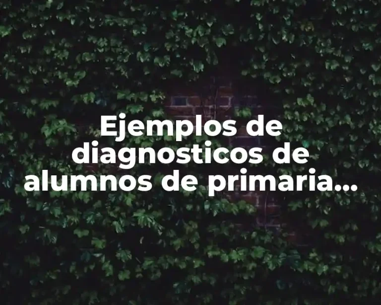 Ejemplos de diagnosticos de alumnos de primaria individual