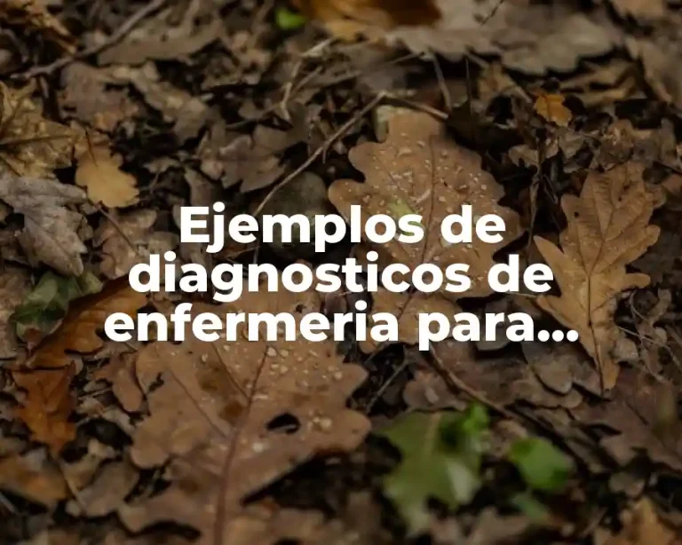 Ejemplos de diagnosticos de enfermeria para diabetes mellitus