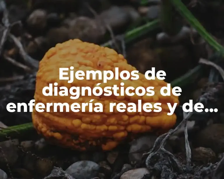 Ejemplos de diagnósticos de enfermería reales y de riesgo