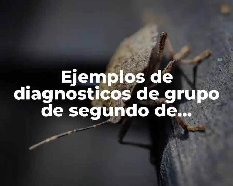 Ejemplos de diagnosticos de grupo de segundo de preescolar