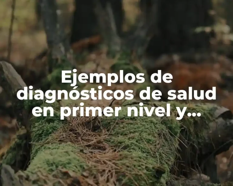 Ejemplos de diagnósticos de salud en primer nivel y Significado