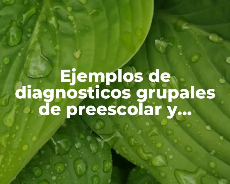 Ejemplos de diagnosticos grupales de preescolar y Significado