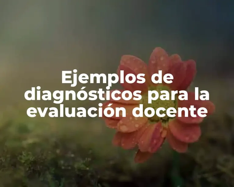 Ejemplos de diagnósticos para la evaluación docente