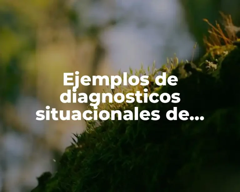 Ejemplos de diagnosticos situacionales de enfermeria