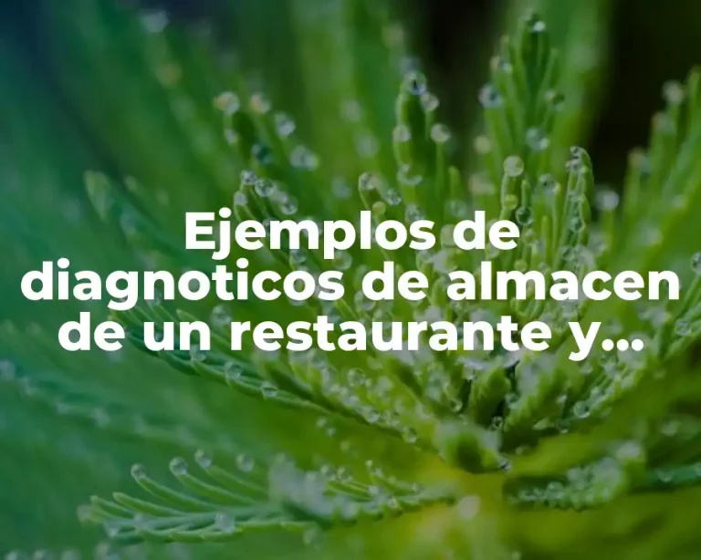 Ejemplos de diagnoticos de almacen de un restaurante y Significado