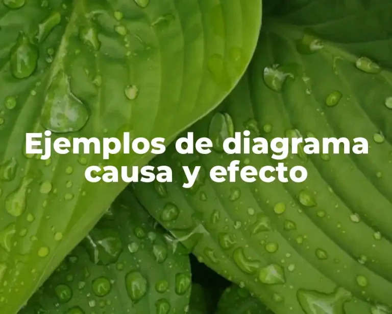 Ejemplos de diagrama causa y efecto