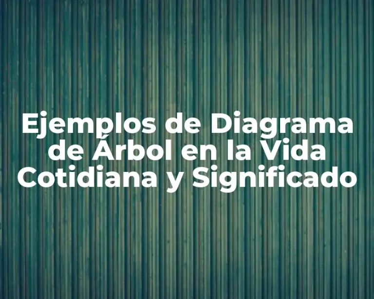 Ejemplos de Diagrama de Árbol en la Vida Cotidiana y Significado
