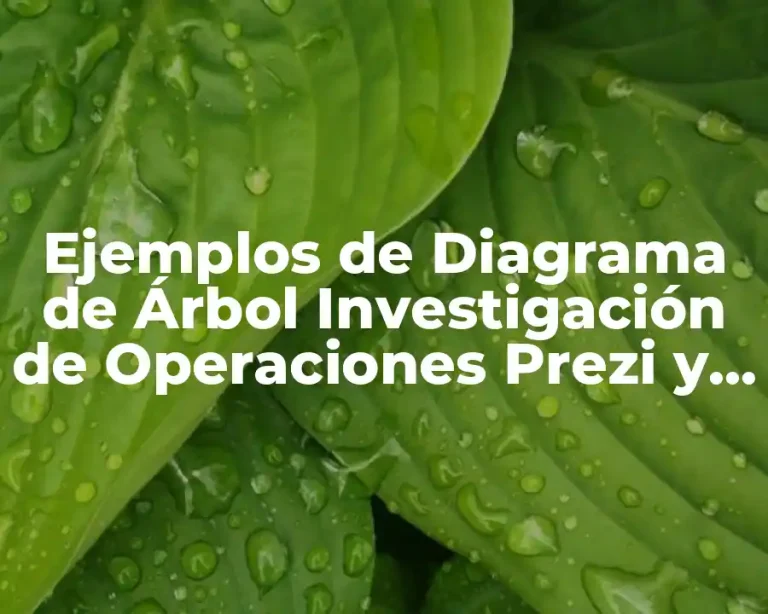 Ejemplos de Diagrama de Árbol Investigación de Operaciones Prezi y Significado