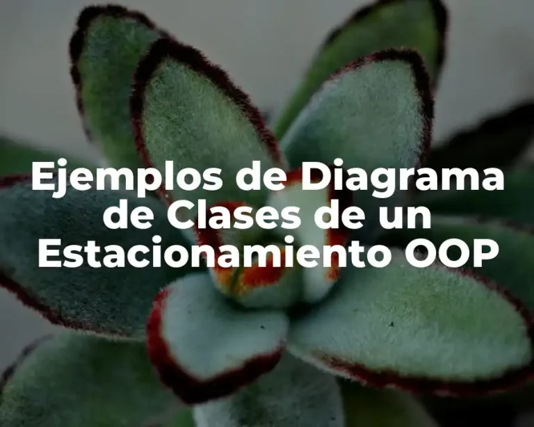 Ejemplos de Diagrama de Clases de un Estacionamiento OOP