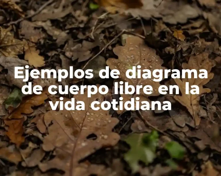 Ejemplos de diagrama de cuerpo libre en la vida cotidiana