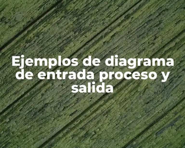 Ejemplos de diagrama de entrada proceso y salida