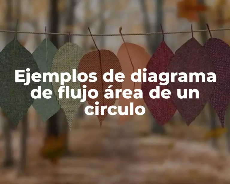 Ejemplos de diagrama de flujo área de un circulo