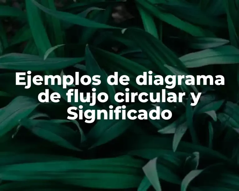 Ejemplos de diagrama de flujo circular y Significado