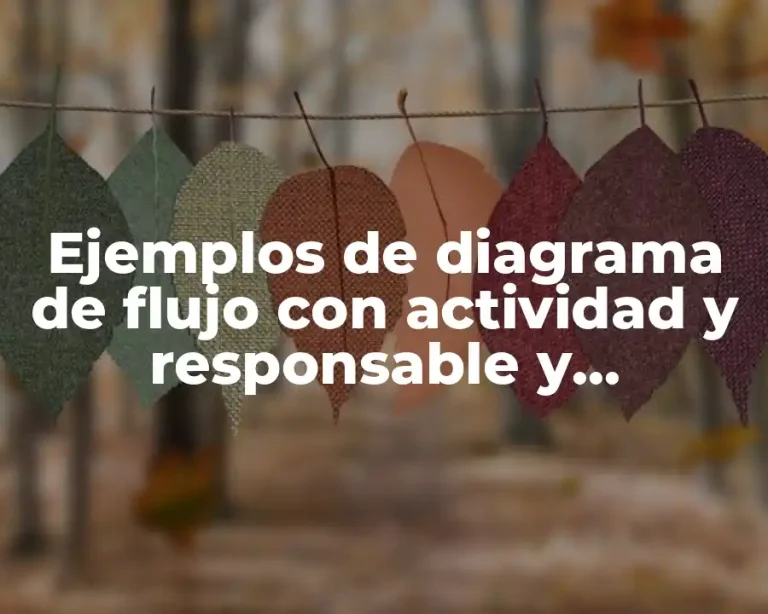 Ejemplos de diagrama de flujo con actividad y responsable y Significado