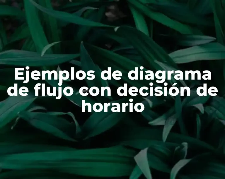 Ejemplos de diagrama de flujo con decisión de horario