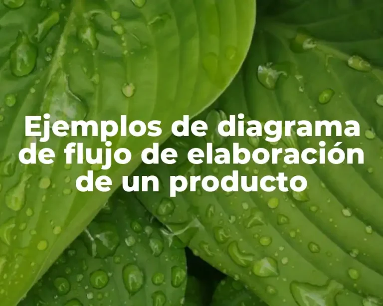 Ejemplos de diagrama de flujo de elaboración de un producto
