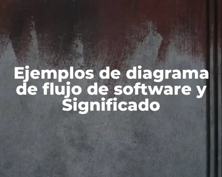 Ejemplos de diagrama de flujo de software y Significado