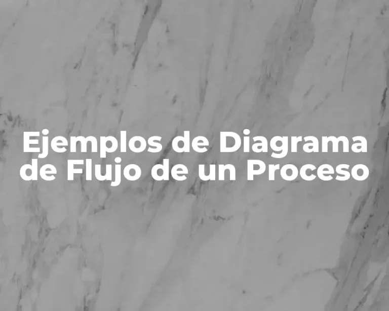 Ejemplos de Diagrama de Flujo de un Proceso