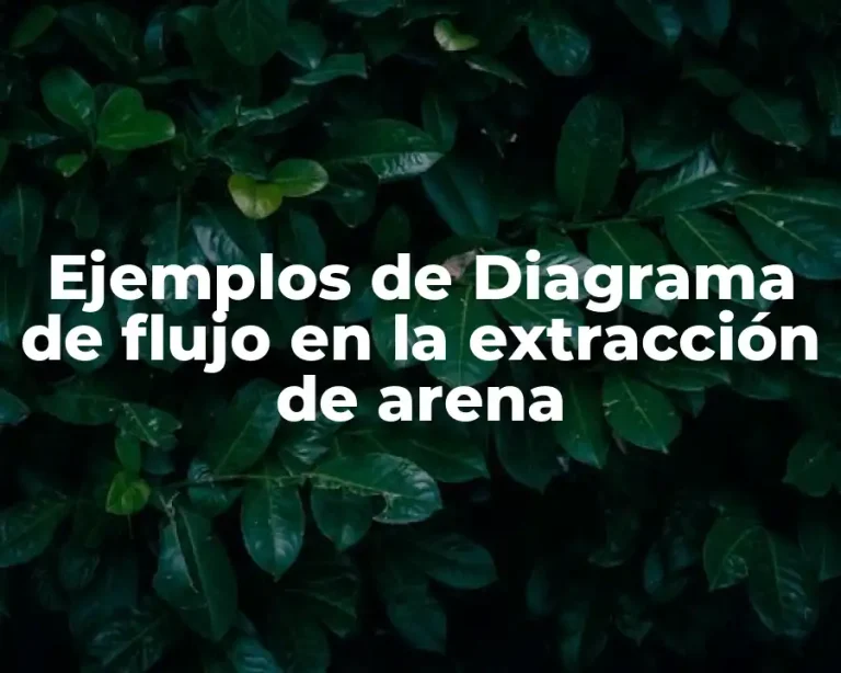 Ejemplos de Diagrama de flujo en la extracción de arena
