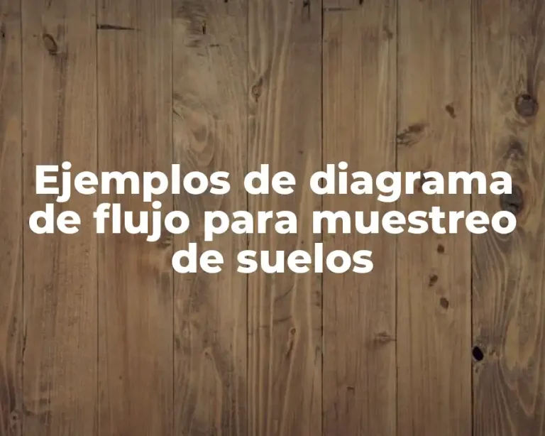 Ejemplos de diagrama de flujo para muestreo de suelos