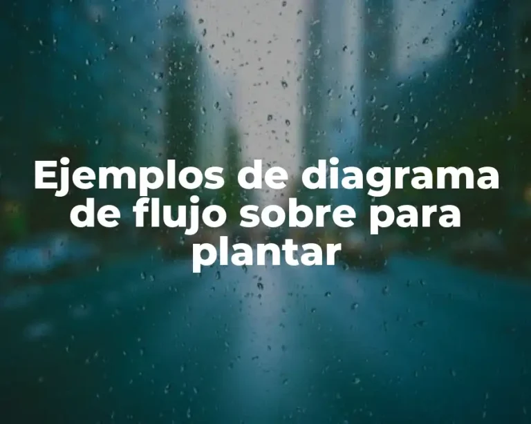 Ejemplos de diagrama de flujo sobre para plantar