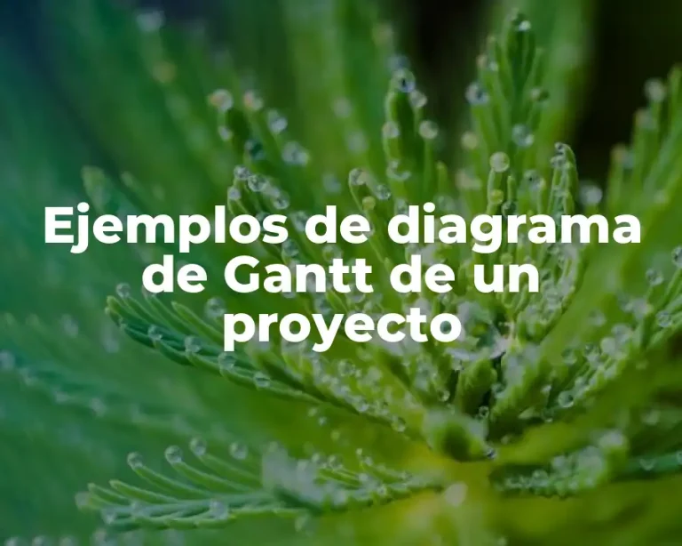 Ejemplos de diagrama de Gantt de un proyecto