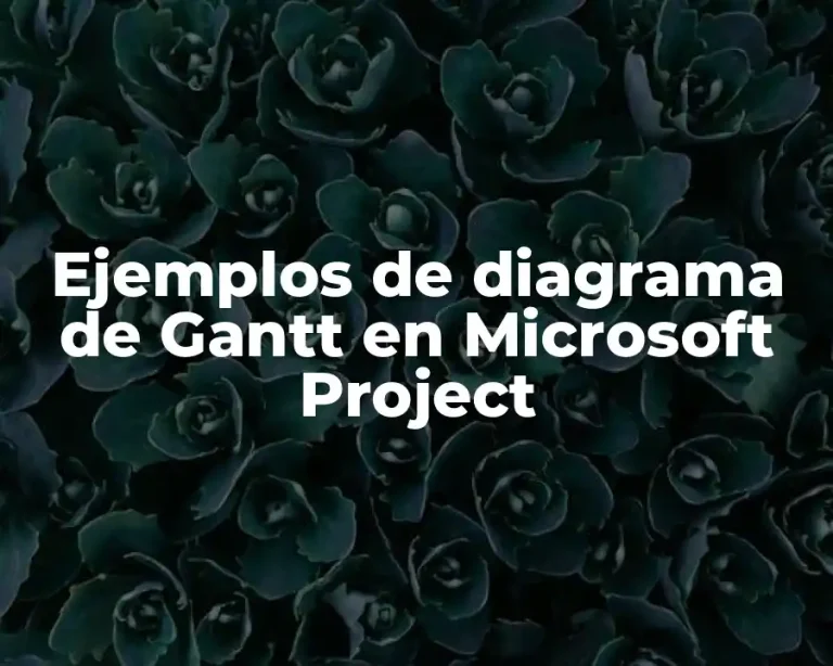Ejemplos de diagrama de Gantt en Microsoft Project