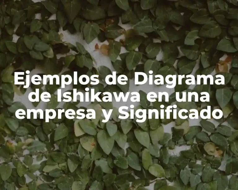 Ejemplos de Diagrama de Ishikawa en una empresa y Significado