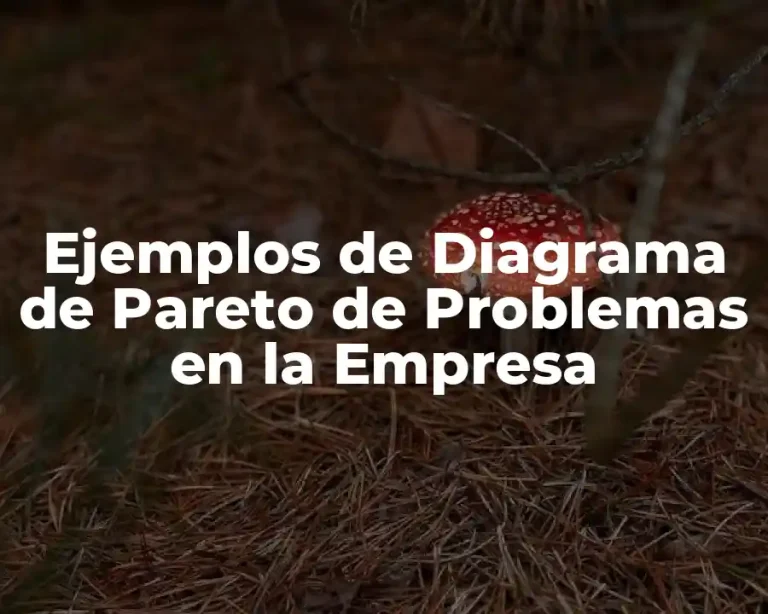 Ejemplos de Diagrama de Pareto de Problemas en la Empresa