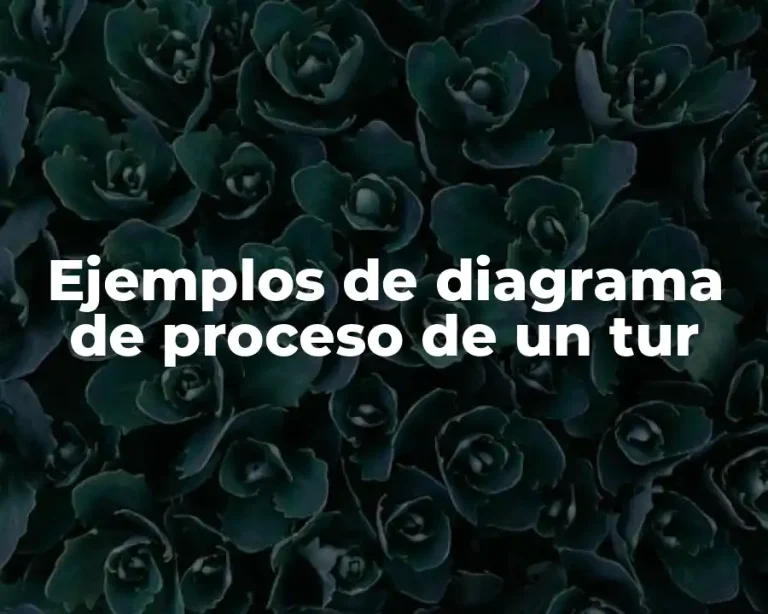 Ejemplos de diagrama de proceso de un tur