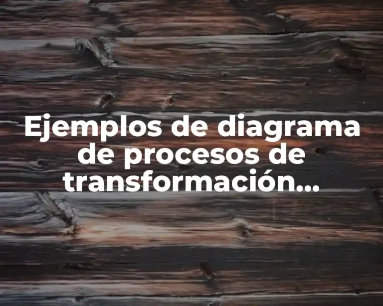 Ejemplos de diagrama de procesos de transformación industrial