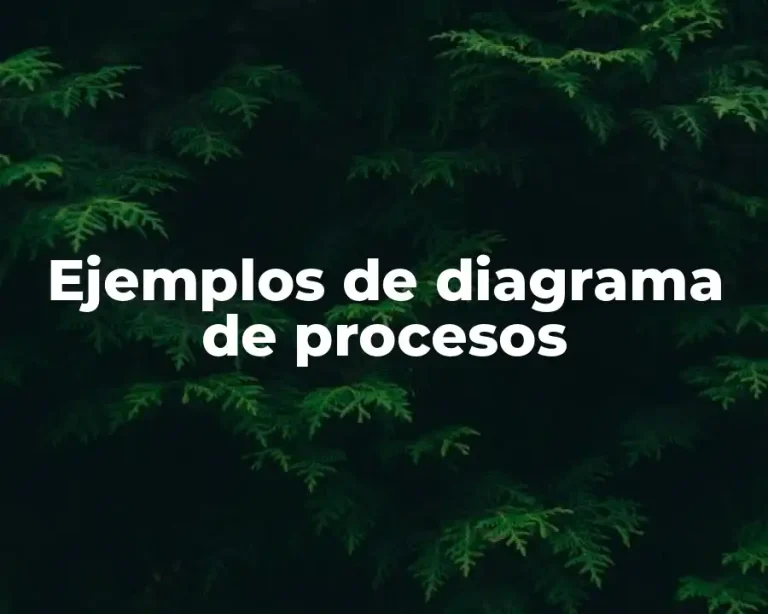 Ejemplos de diagrama de procesos