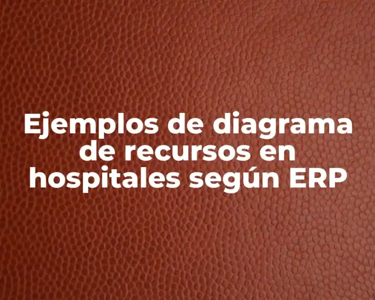 Ejemplos de diagrama de recursos en hospitales según ERP
