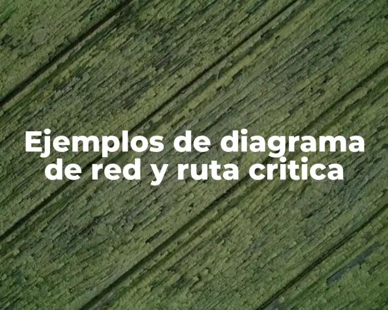 Ejemplos de diagrama de red y ruta critica