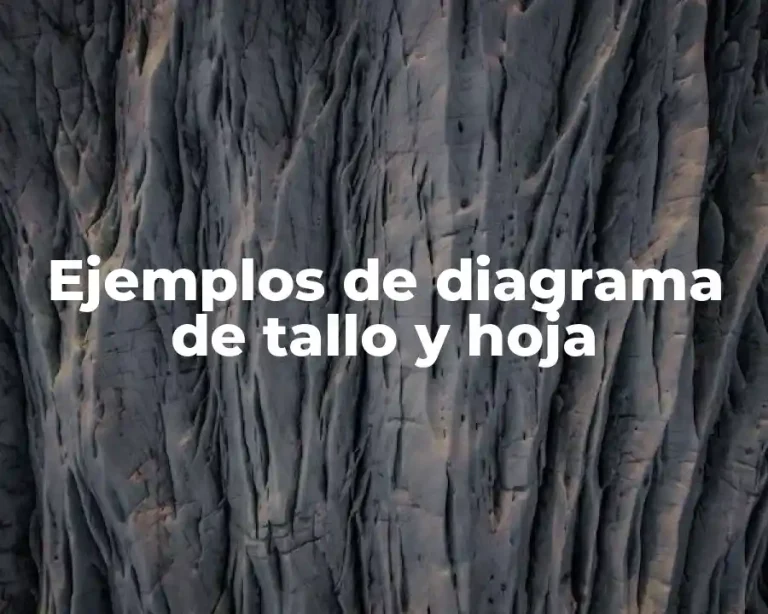 Ejemplos de diagrama de tallo y hoja
