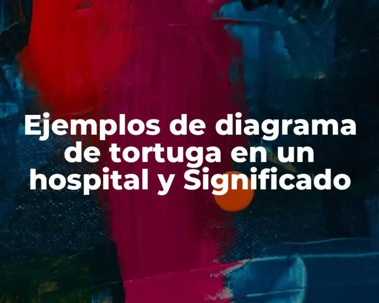 Ejemplos de diagrama de tortuga en un hospital y Significado