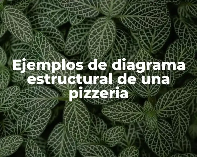 Ejemplos de diagrama estructural de una pizzeria
