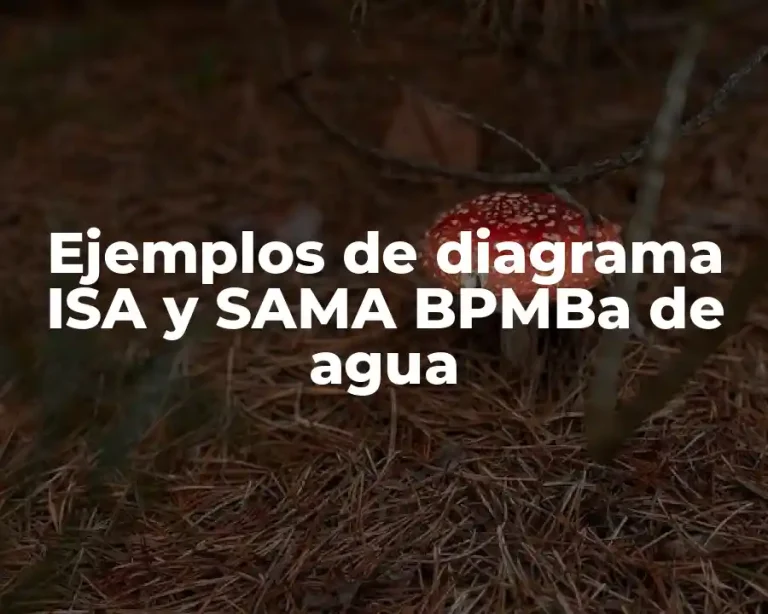 Ejemplos de diagrama ISA y SAMA BPMBa de agua