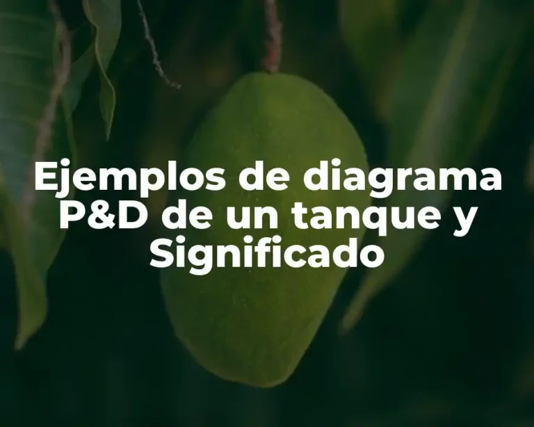 Ejemplos de diagrama P&D de un tanque y Significado